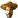 icon_04.gif